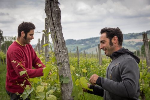 Montesquiou le domaine de Jurançon de Fabrice et Sébastien