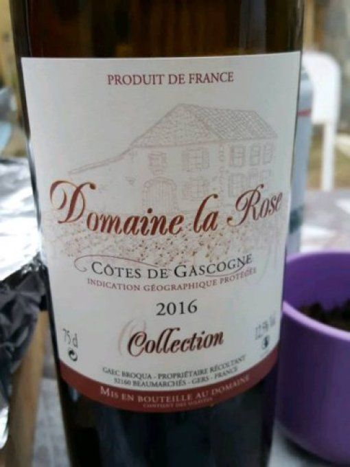 Rouge Collection 2020 (Tannat + Caberent Sauvignon + Cabernet Franc)