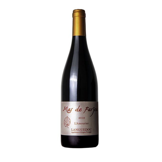 AOP Languedoc Clos de l'Amourier