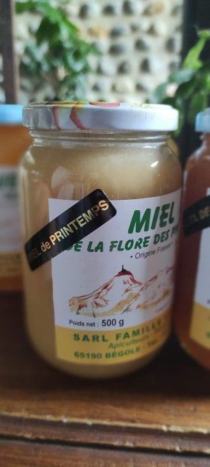 Miel de Printemps des Pyrénées